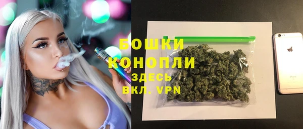 прущие крисы Горняк