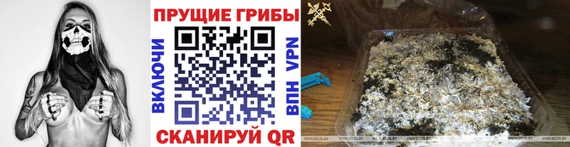Купить где  Зеленокумск  Галлюциногенные грибы Magic Shrooms 